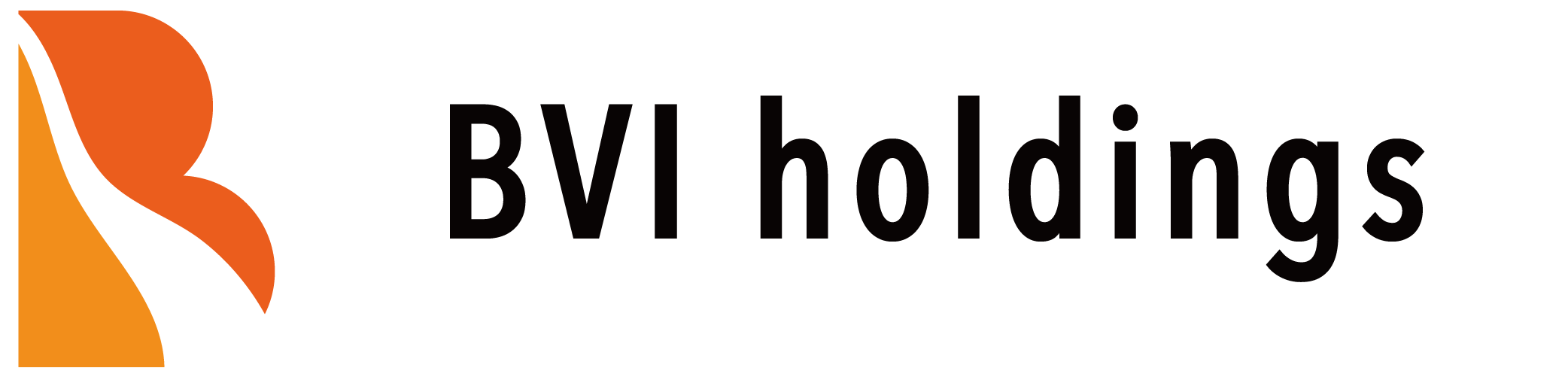 BVI Holdings